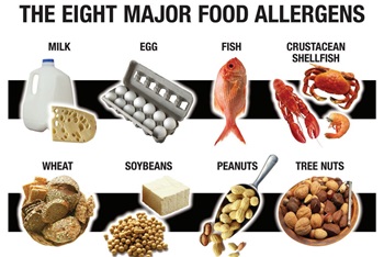 A Group Of The Eight Major Allergenic Foods Is Often, 46% OFF