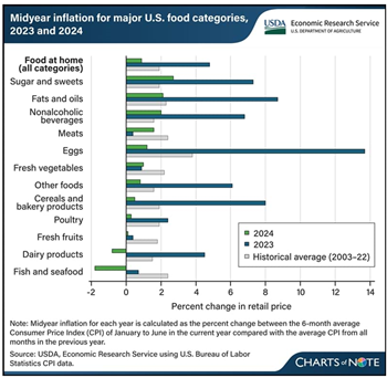 Midyear 2024 Inflation