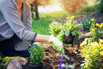 Woman Gardening Spring