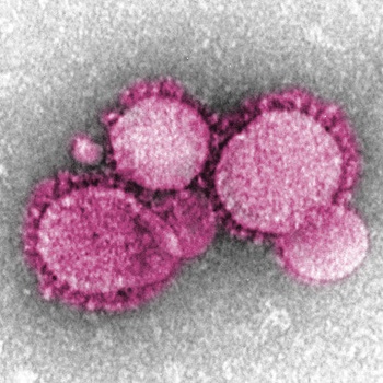 Coronavirus